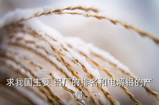 商丘神火集團(tuán)神火鋁業(yè)新疆鋁廠