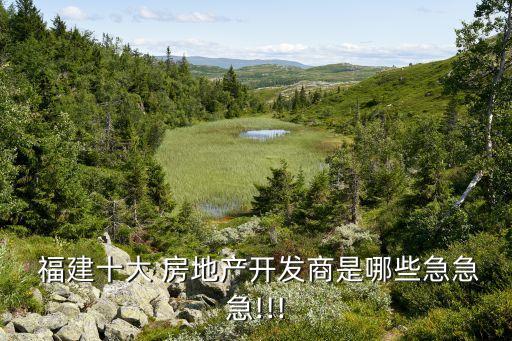 福建華源房地產(chǎn)有限公司,北京龍鼎華源房地產(chǎn)開發(fā)有限公司