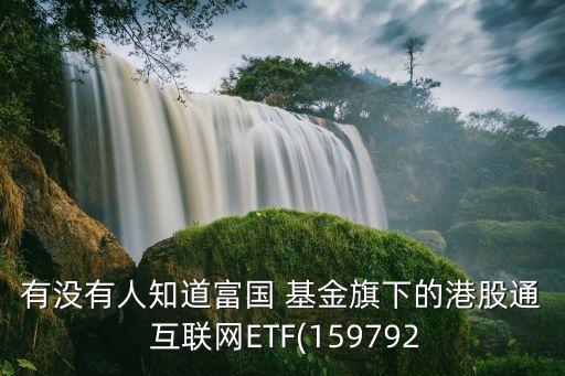 有沒有人知道富國(guó) 基金旗下的港股通 互聯(lián)網(wǎng)ETF(159792