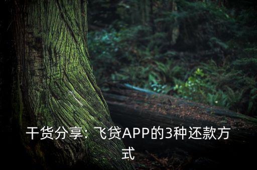 干貨分享: 飛貸APP的3種還款方式