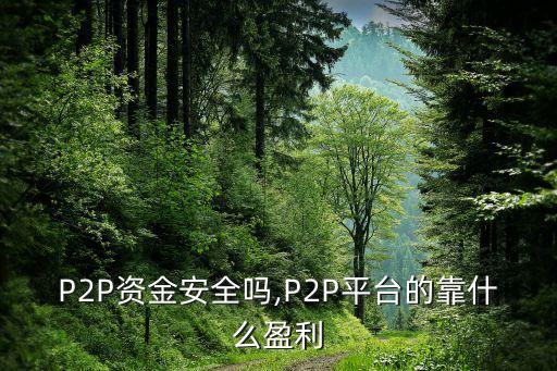 P2P資金安全嗎,P2P平臺的靠什么盈利