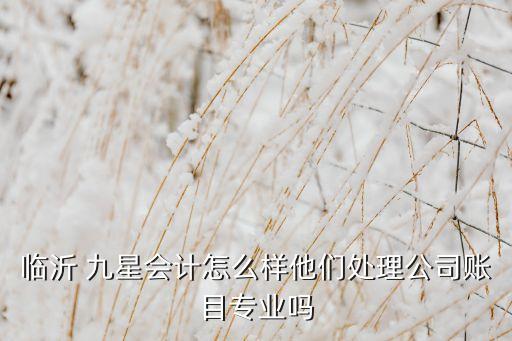 臨沂 九星會計(jì)怎么樣他們處理公司賬目專業(yè)嗎