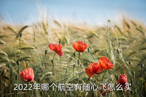 2022年哪個航空有隨心飛怎么買