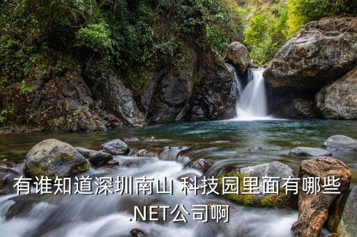 有誰知道深圳南山 科技園里面有哪些.NET公司啊