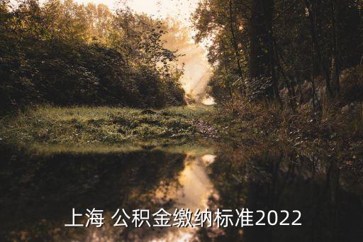  上海 公積金繳納標(biāo)準(zhǔn)2022