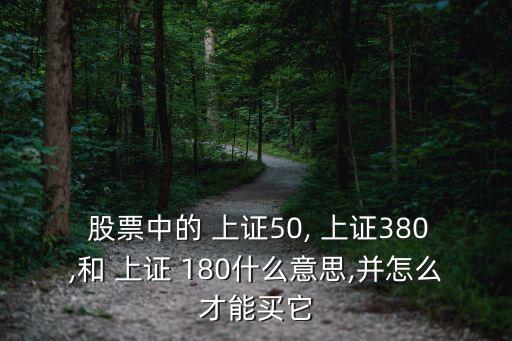  股票中的 上證50, 上證380,和 上證 180什么意思,并怎么才能買它