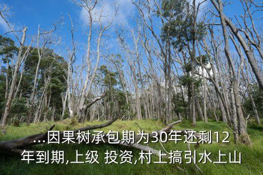 ...因果樹承包期為30年還剩12年到期,上級 投資,村上搞引水上山