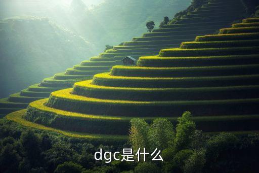 dgc是什么