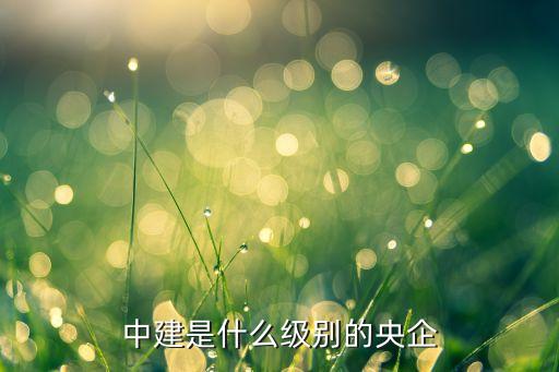 中建是什么級(jí)別的央企