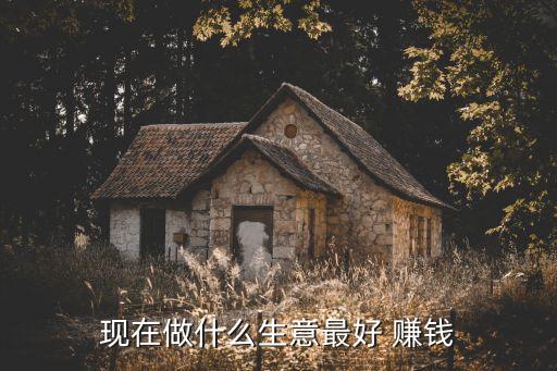 現在做什么生意最好 賺錢