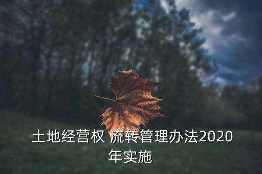  土地經(jīng)營權(quán) 流轉(zhuǎn)管理辦法2020年實(shí)施