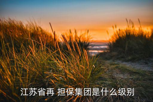 江蘇中貿(mào)融資擔(dān)保有限公司,江蘇立信中小企業(yè)融資擔(dān)保有限公司