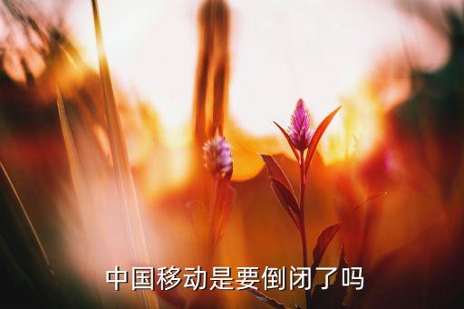 為什么中國移動(dòng)不轉(zhuǎn)型,中國移動(dòng)轉(zhuǎn)型發(fā)展總體思路