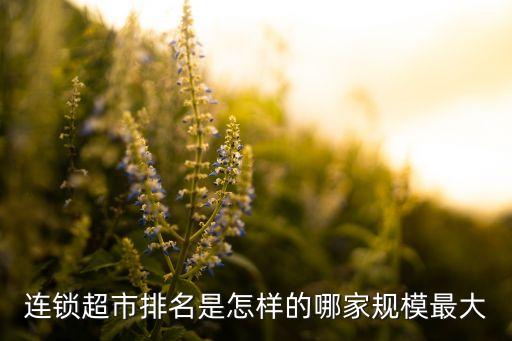 連鎖超市排名是怎樣的哪家規(guī)模最大