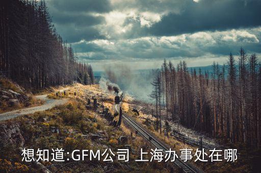 想知道:GFM公司 上海辦事處在哪