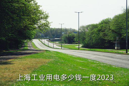  上海工業(yè)用電多少錢(qián)一度2023