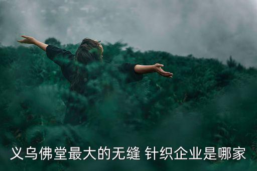 義烏佛堂最大的無(wú)縫 針織企業(yè)是哪家