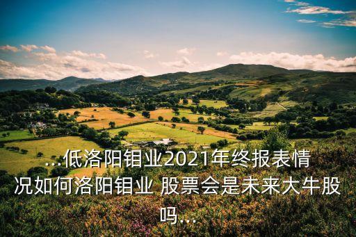 ...低洛陽鉬業(yè)2021年終報表情況如何洛陽鉬業(yè) 股票會是未來大牛股嗎...