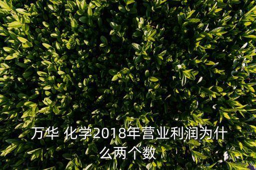  萬華 化學2018年營業(yè)利潤為什么兩個數(shù)