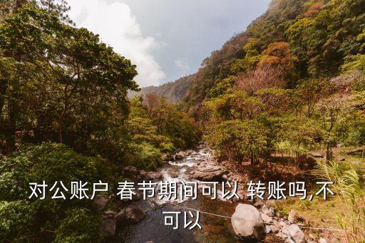 對公賬戶 春節(jié)期間可以 轉賬嗎,不可以