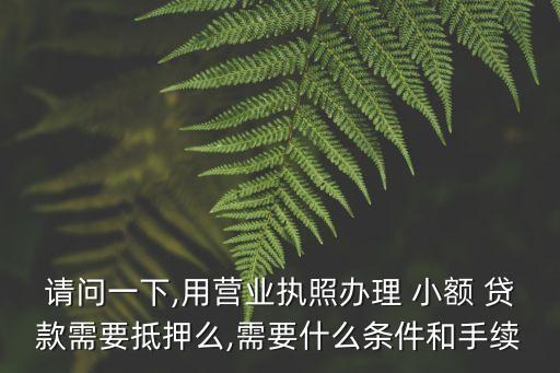 請(qǐng)問一下,用營業(yè)執(zhí)照辦理 小額 貸款需要抵押么,需要什么條件和手續(xù)