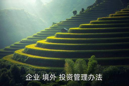 境外投資建營(yíng)一體化