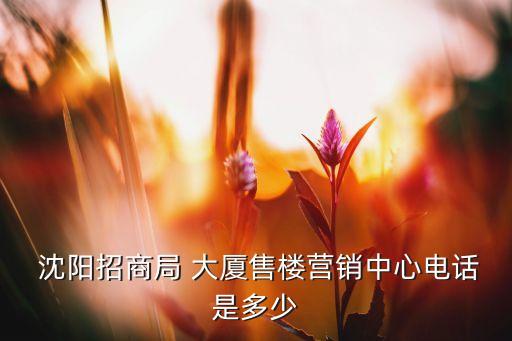 沈陽(yáng)昌鑫大廈擔(dān)保公司,沈陽(yáng)青年大街昌鑫大廈