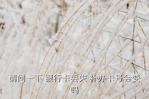 請(qǐng)問(wèn)一下 銀行卡丟失 補(bǔ)辦卡號(hào)會(huì)變嗎