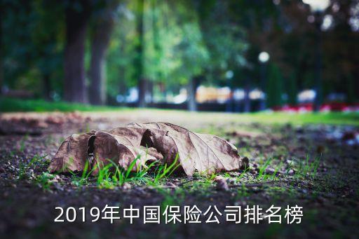 2019年中國保險公司排名榜