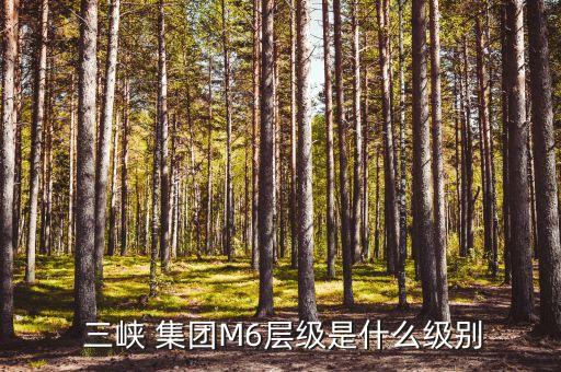  三峽 集團M6層級是什么級別