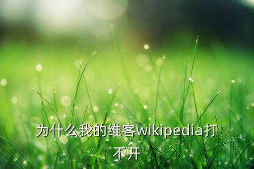 為什么我的維客wikipedia打不開