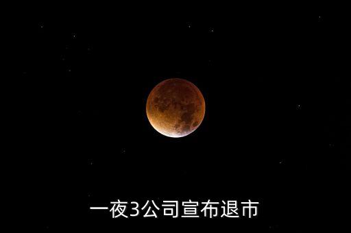 一夜3公司宣布退市