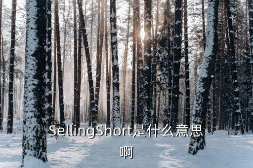 SellingShort是什么意思啊