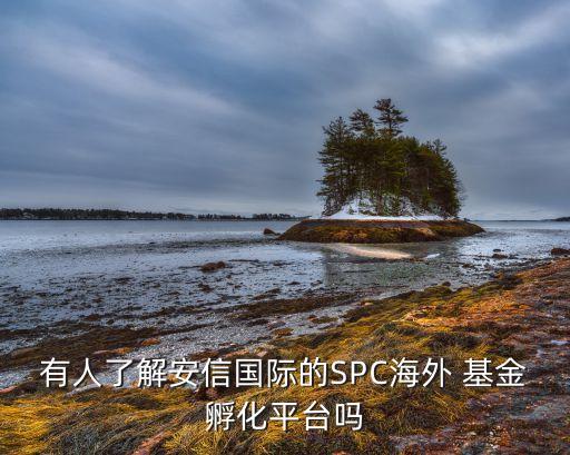 基金spc,基金SPV公司投資的項目有什么要求