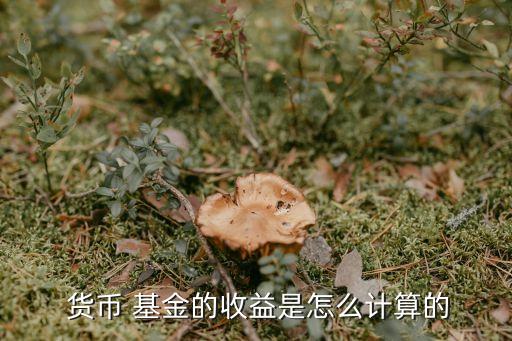  貨幣 基金的收益是怎么計(jì)算的