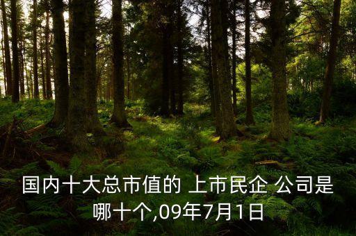 國內(nèi)十大總市值的 上市民企 公司是哪十個,09年7月1日