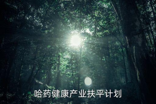 哈藥集團(tuán)成功營(yíng)銷的原因