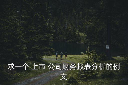 求一個 上市 公司財務報表分析的例文