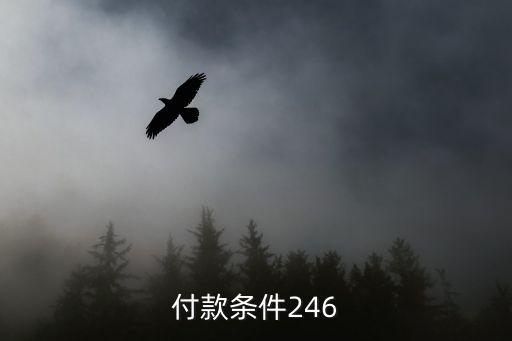 付款條件246