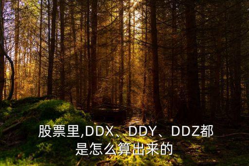  股票里,DDX、DDY、DDZ都是怎么算出來的