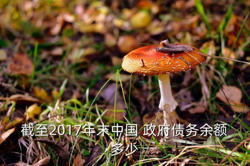 截至2017年末中國 政府債務余額多少