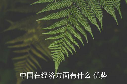 中國在經(jīng)濟(jì)方面有什么 優(yōu)勢