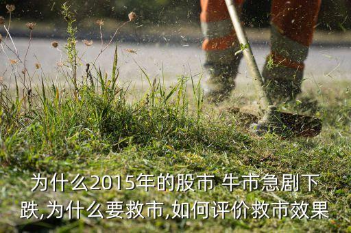 為什么2015年的股市 牛市急劇下跌,為什么要救市,如何評價救市效果