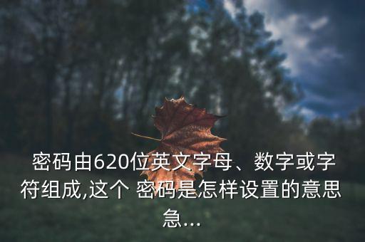 銀行卡密碼怎么設計