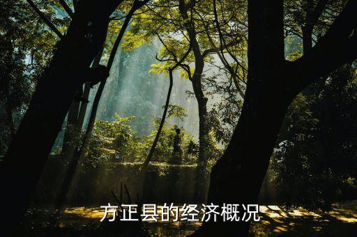  方正縣的經(jīng)濟概況