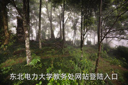 東北電力大學教務處網(wǎng)站登陸入口