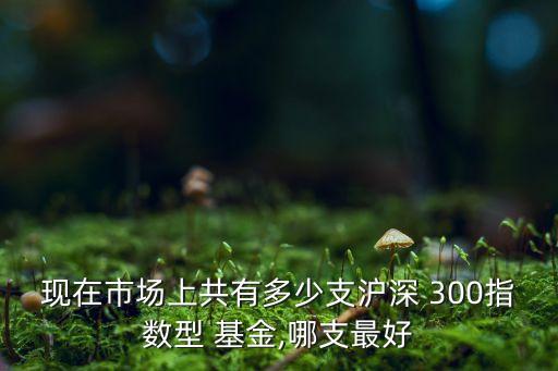 博士滬深300基金,大成滬深300基金凈值最新