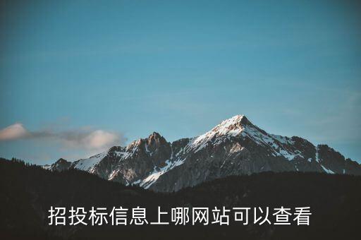 招投標(biāo)信息上哪網(wǎng)站可以查看