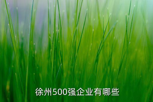  徐州500強企業(yè)有哪些