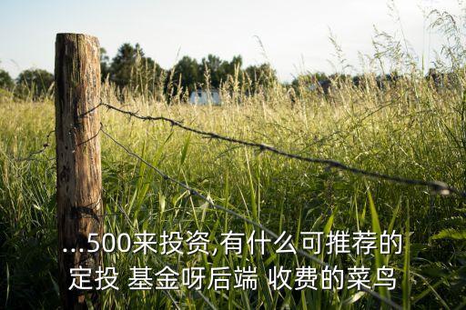 ...500來投資,有什么可推薦的定投 基金呀后端 收費(fèi)的菜鳥